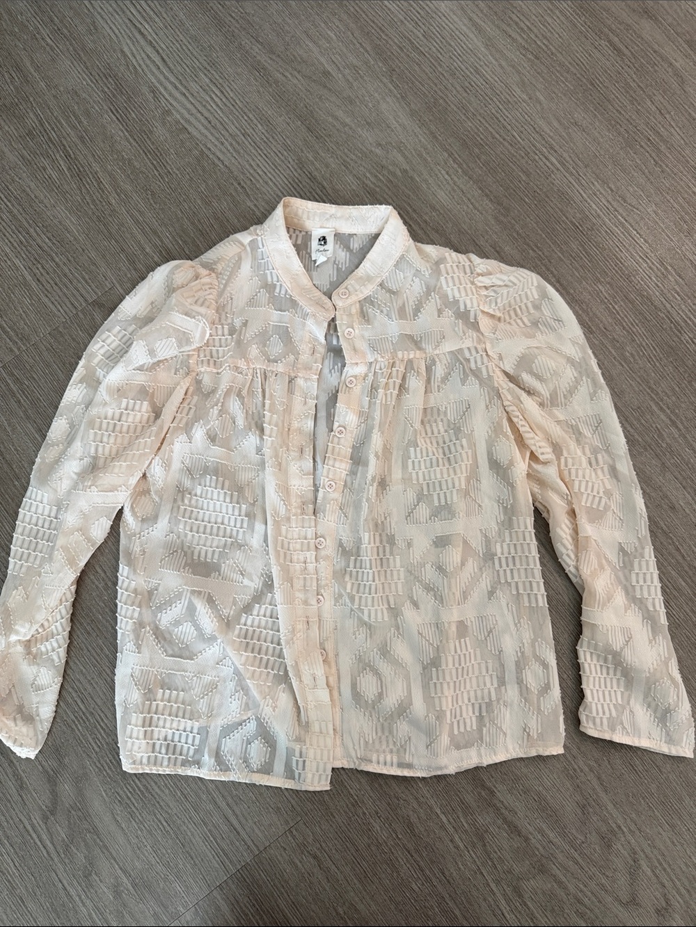 Vici Cream Sheer Textured Button Blouse